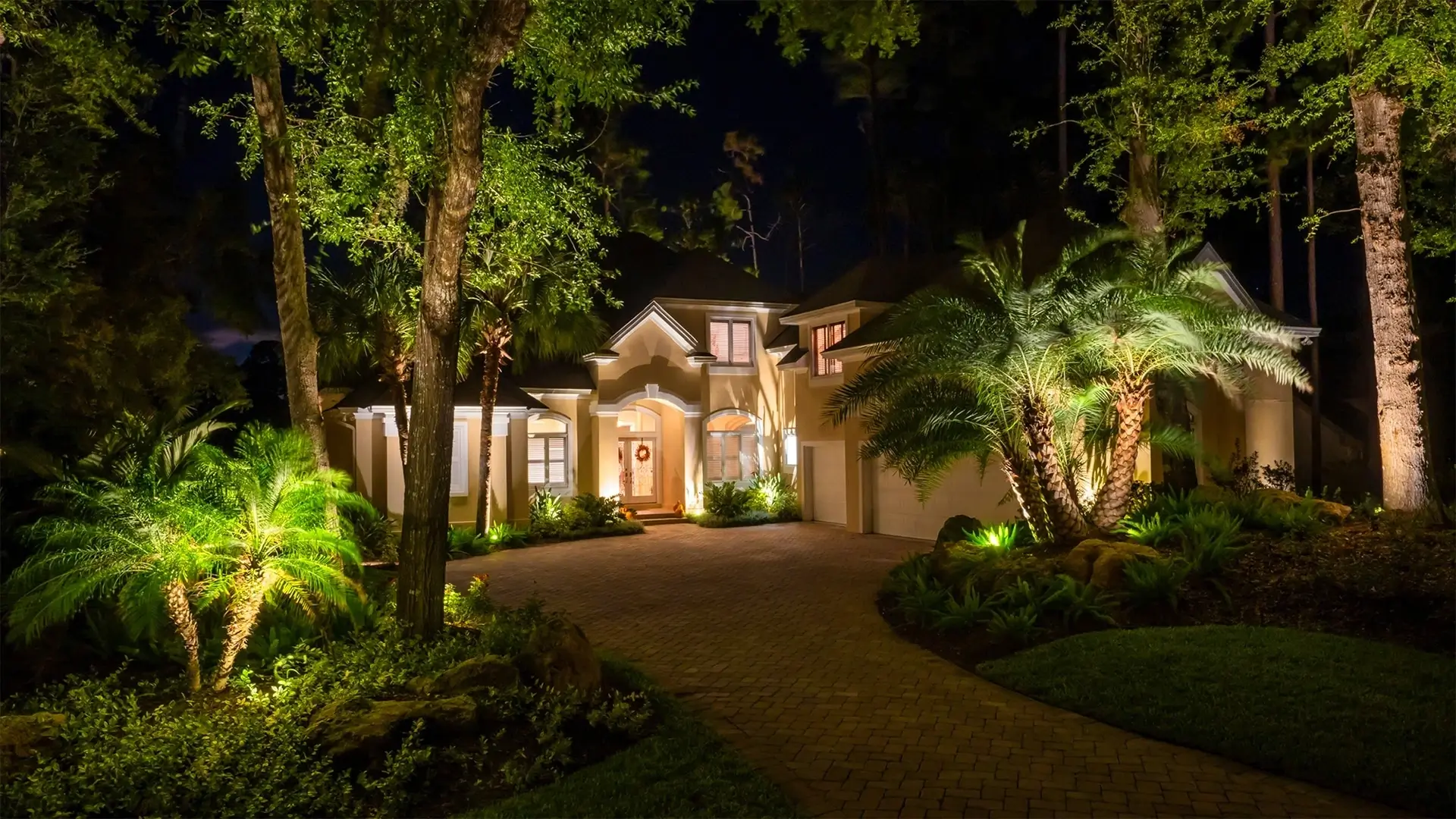 Custom landscape lighting at night in Tampa Bay